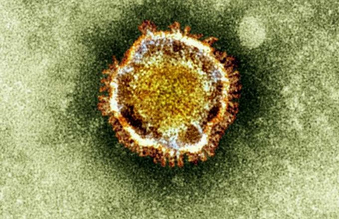 Das Coronavirus und seine Folgen
