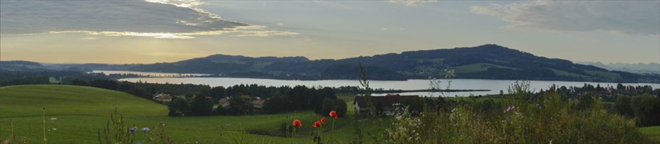 panorama2008