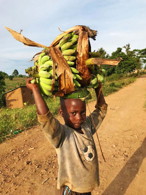 Feldarbeit und Bananen heimtragen ist immer noch hart genug.