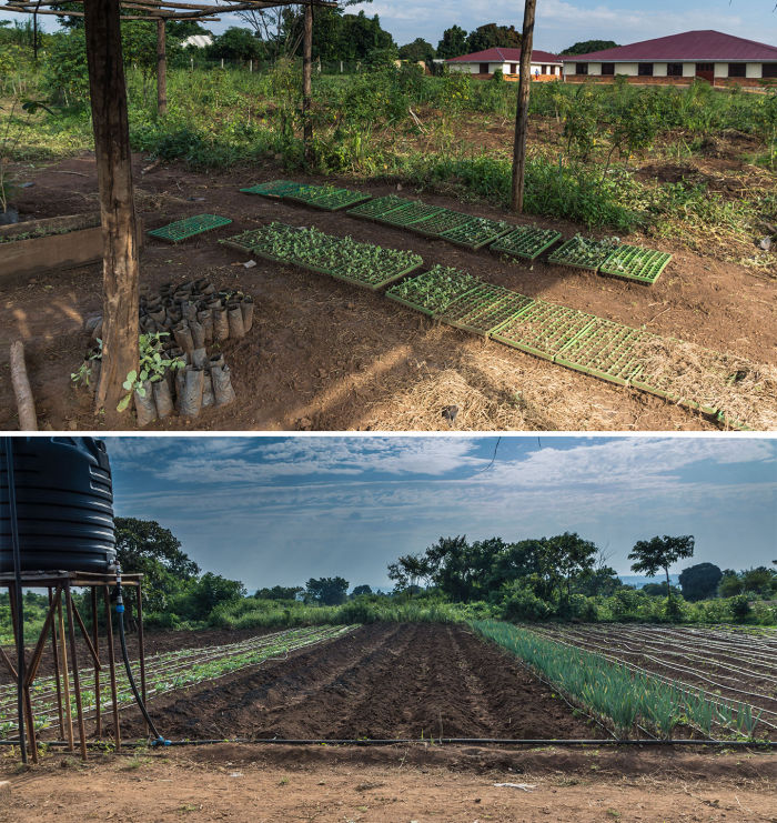 Moderne Agrarwirtschaft, Lebensmittelverarbeitung Bewässerungstechniker Gärtnerei und mehr. Der Verein besitzt in Uganda insgesamt etwa 85 Hektar landwirtschaftliche Flächen.