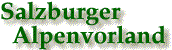 logo AV